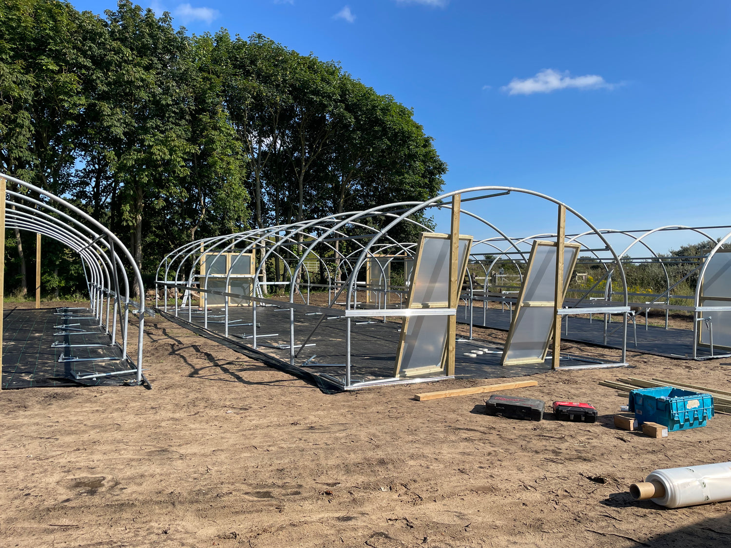 POLYTUNNELS FOR WILDER HUMBER