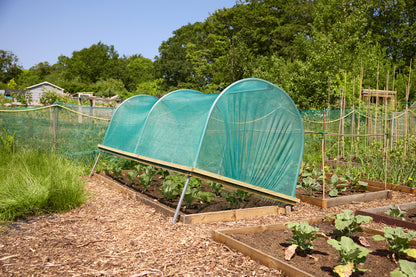 Shade Net Cloche