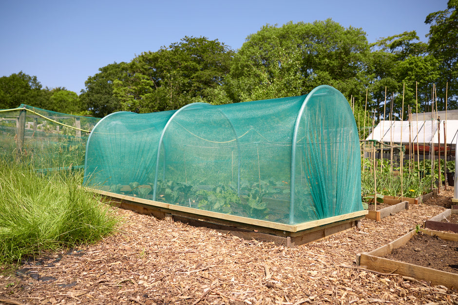 Cloche Stackable Cloches | Plant & Vegetable Garden Cloche | Premier Polytunnels