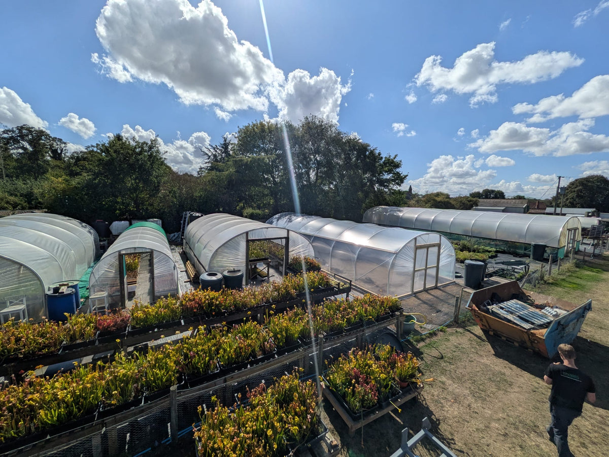 POLYTUNNELS FOR WACK'S WICKED PLANTS