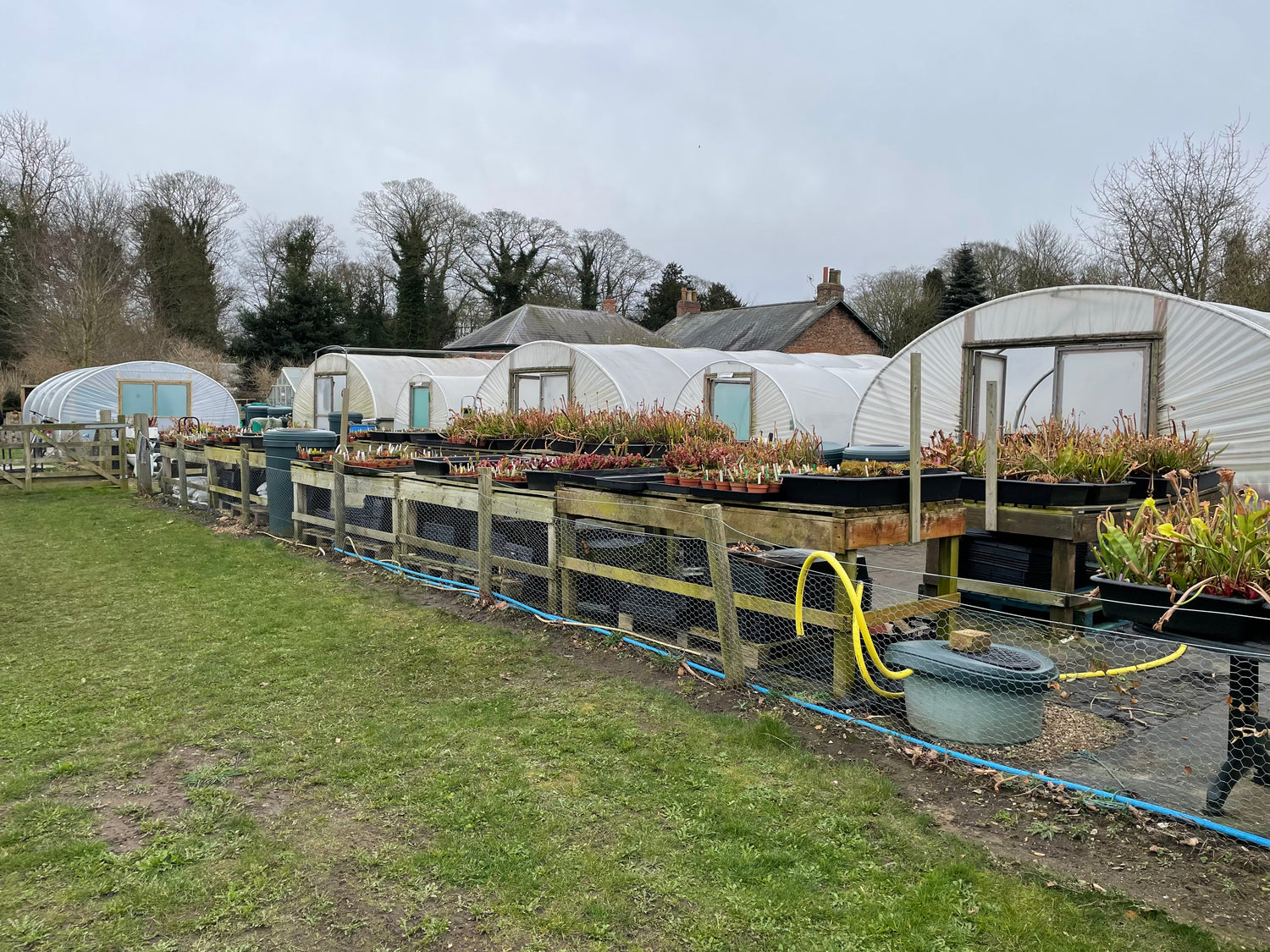 POLYTUNNELS FOR WACK'S WICKED PLANTS