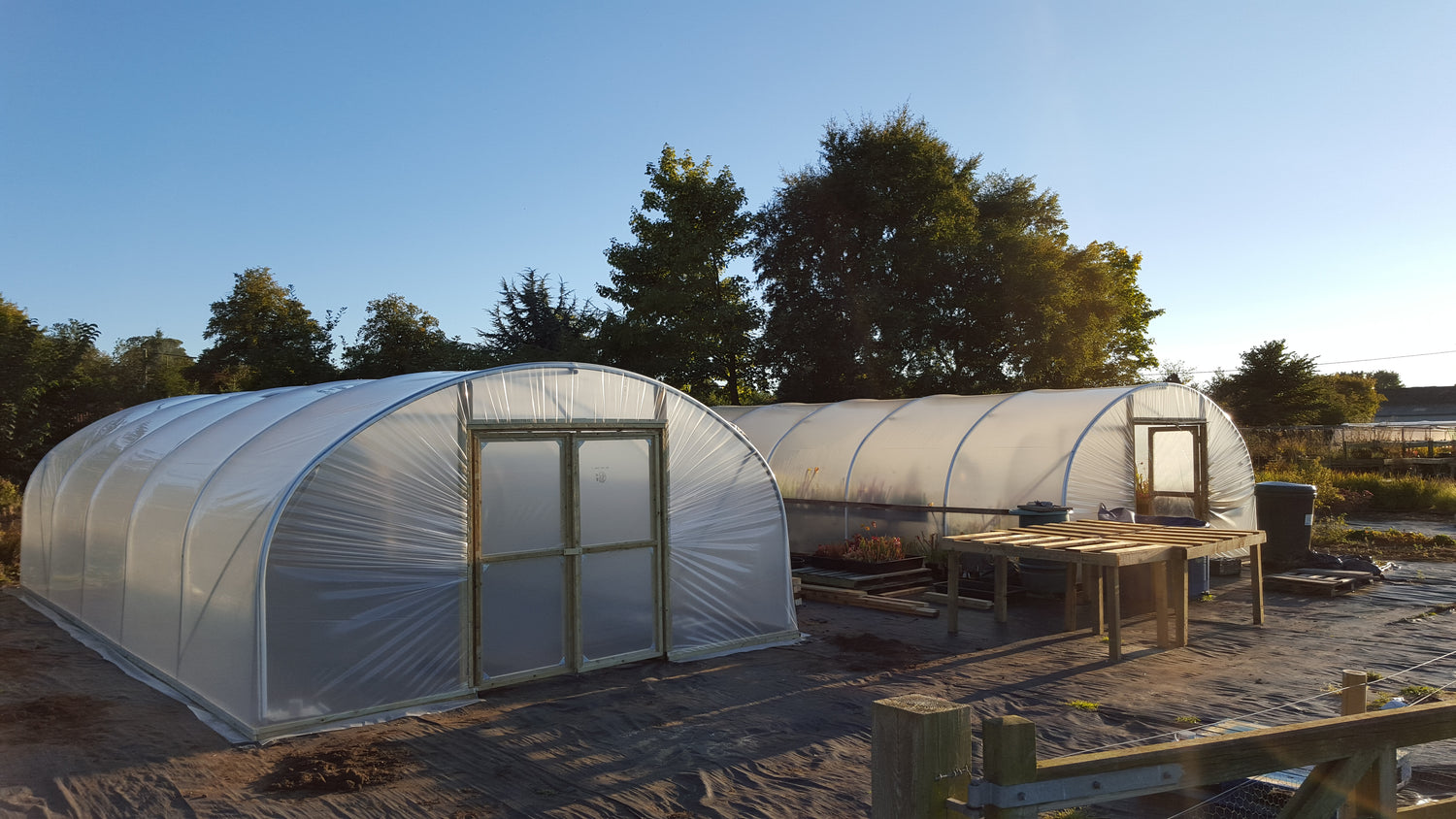 POLYTUNNELS FOR WACK'S WICKED PLANTS