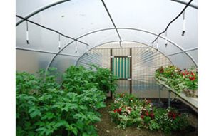 Protect crops from climate change