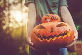 Grow your own pumpkin for Halloween