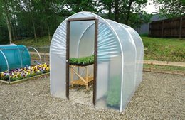 April Growing Guide for Polytunnels