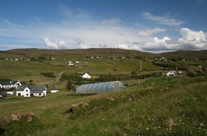 Polytunnels Scotland