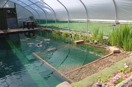 Natural Pool Polytunnel