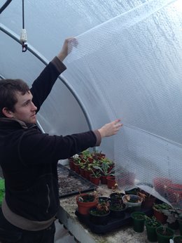 December Growing Guide for Polytunnels