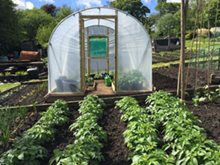 Grow in a Polytunnel for Bigger Better Harvests
